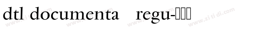 dtl documenta   regu字体转换